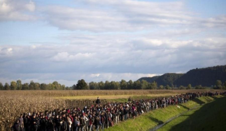  وصول 4000 لاجىء بشكل مفاجئ إلى سلوفينيا