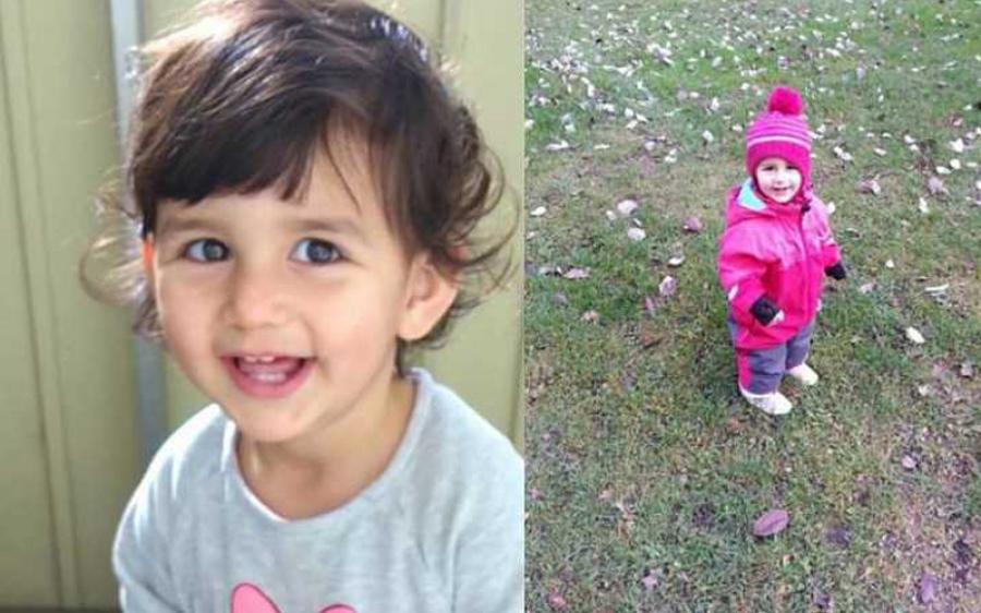 الأنتربول يعيد الطفلة السورية المخطوفة لوالدتها في السويد