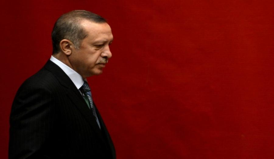 اردوغان يحقق حلم فتاة سورية و يقابلها في القصر الرئاسي