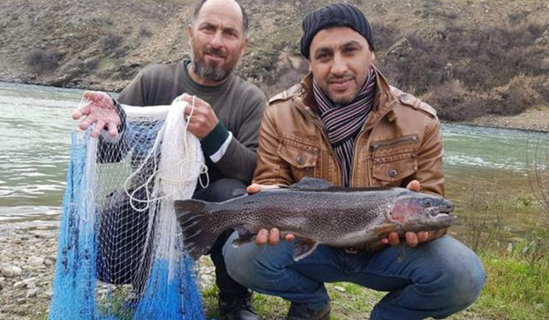 مبادرة لنقل سمك السلمون من تركيا إلى نهر الفرات بسوريا