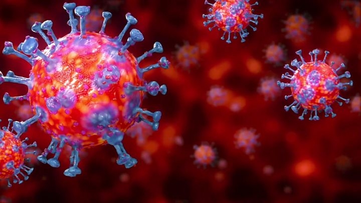 الصحة العالمية تؤكد كلام باحث سوري حول فيروس كورونا!