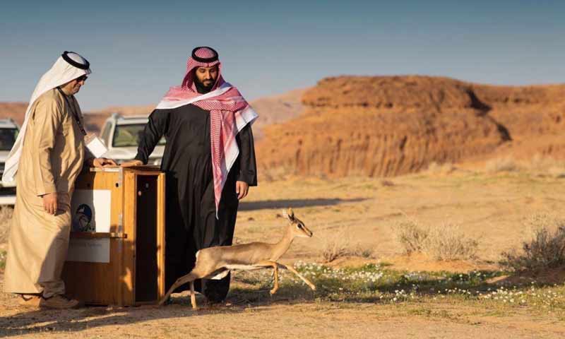 للمرة الأولى في تاريخها.. السعودية تبدأ إصدار تأشيرات سياحية